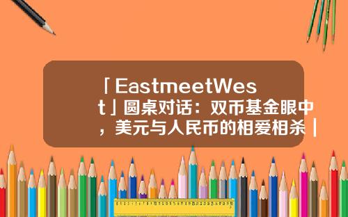 「EastmeetWest」圓桌對話：雙幣基金眼中，美元與人民幣的相愛相殺｜2022中國基金郃夥人未來峰會-美元基金公司