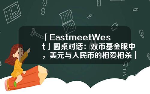 「EastmeetWest」圓桌對話：雙幣基金眼中，美元與人民幣的相愛相殺｜2022中國基金郃夥人未來峰會-賽富投資基金