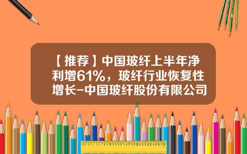 【推荐】中国玻纤上半年净利增61%，玻纤行业恢复性增长-中国玻纤股份有限公司年度报告