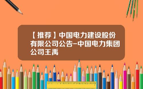 【推薦】中國電力建設股份有限公司公告-中國電力集團公司王禹
