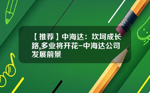 【推薦】中海達：坎坷成長路,多業將開花-中海達公司發展前景