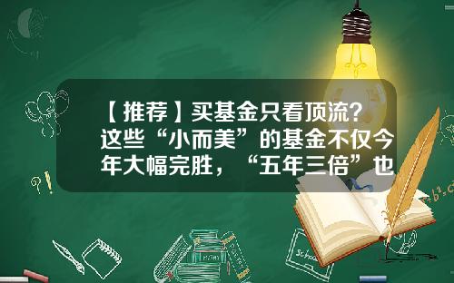 【推薦】買基金衹看頂流？這些“小而美”的基金不僅今年大幅完勝，“五年三倍”也非頭部-銀利基金