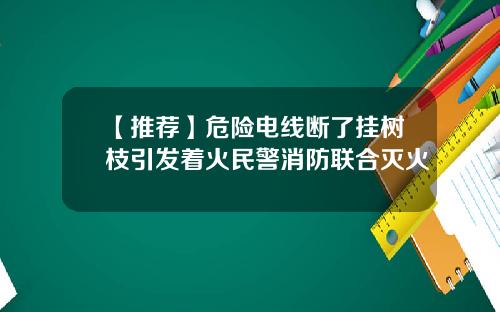【推荐】危险电线断了挂树枝引发着火民警消防联合灭火