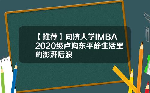 【推荐】同济大学IMBA2020级卢海东平静生活里的澎湃后浪
