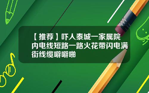 【推荐】吓人泰城一家属院内电线短路一路火花带闪电满街线缆噼噼啪