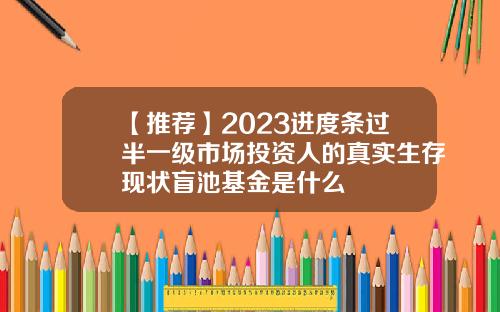 【推薦】2023進度條過半一級市場投資人的真實生存現狀盲池基金是什麽