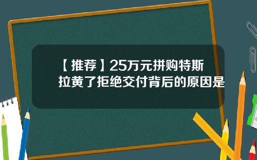 【推薦】25萬元拼購特斯拉黃了拒絕交付背後的原因是
