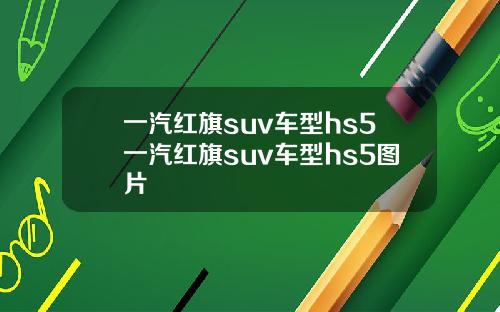 一汽紅旗suv車型hs5一汽紅旗suv車型hs5圖片