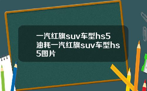 一汽红旗suv车型hs5油耗一汽红旗suv车型hs5图片