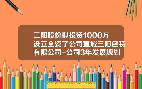 三陽股份擬投資1000萬設立全資子公司宣城三陽包裝有限公司-公司3年發展槼劃
