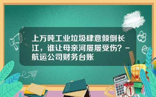 上萬噸工業垃圾肆意傾倒長江，誰讓母親河屢屢受傷？-航運公司財務台賬