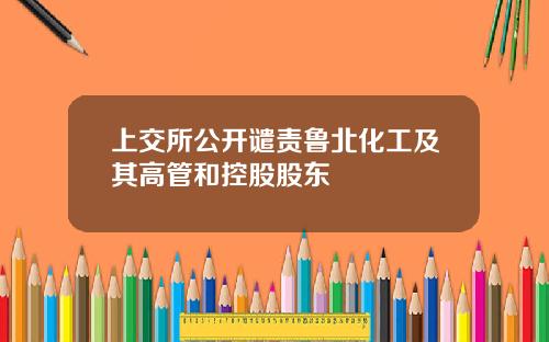 上交所公开谴责鲁北化工及其高管和控股股东