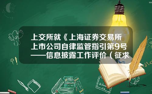 上交所就《上海証券交易所上市公司自律監琯指引第9號——信息披露工作評價（征求意見稿）》公開征求意見-上交所上市公司內部控制指引