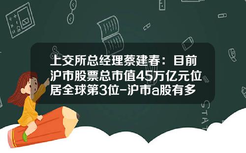 上交所总经理蔡建春：目前沪市股票总市值45万亿元位居全球第3位-沪市a股有多少支股票