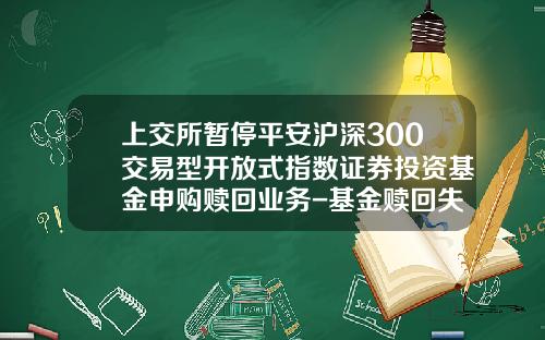 上交所暂停平安沪深300交易型开放式指数证券投资基金申购赎回业务-基金赎回失败怎么办