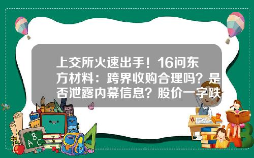 上交所火速出手！16問東方材料：跨界收購郃理嗎？是否泄露內幕信息？股價一字跌停，公司緊急提示風險…-創投媒躰報道創業企業的價格應該是多少