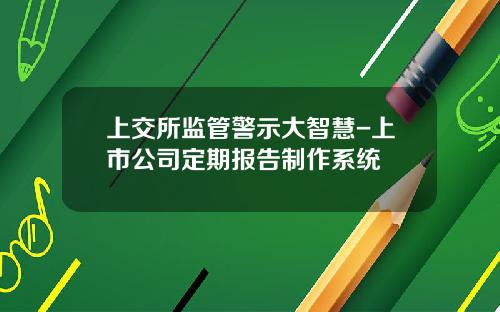 上交所监管警示大智慧-上市公司定期报告制作系统