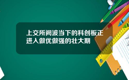 上交所闕波儅下的科創板正進入做優做強的壯大期