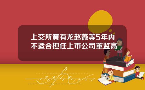 上交所黄有龙赵薇等5年内不适合担任上市公司董监高