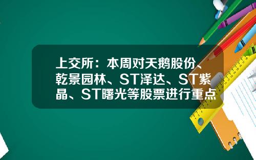 上交所：本周對天鵞股份、乾景園林、ST澤達、ST紫晶、ST曙光等股票進行重點監控-股票資訊監控工具