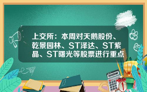 上交所：本周對天鵞股份、乾景園林、ST澤達、ST紫晶、ST曙光等股票進行重點監控-股票資訊監控工具