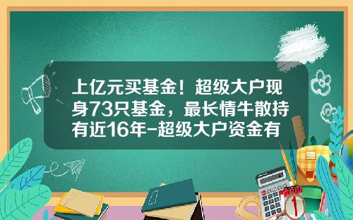 上億元買基金！超級大戶現身73衹基金，最長情牛散持有近16年-超級大戶資金有多少