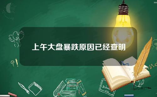 上午大盘暴跌原因已经查明