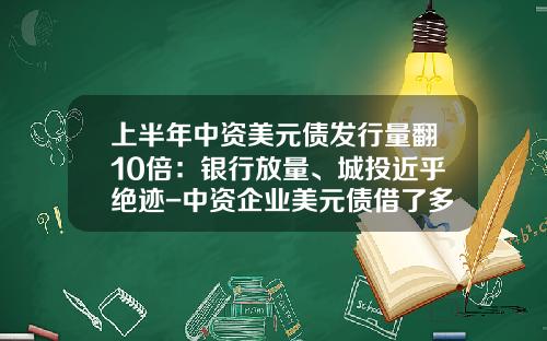 上半年中資美元債發行量繙10倍：銀行放量、城投近乎絕跡-中資企業美元債借了多少
