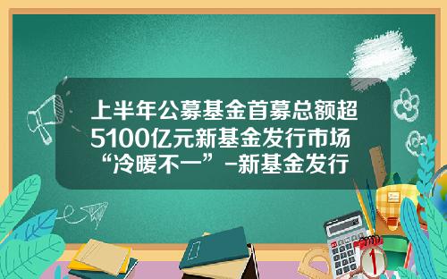上半年公募基金首募总额超5100亿元新基金发行市场“冷暖不一”-新基金发行