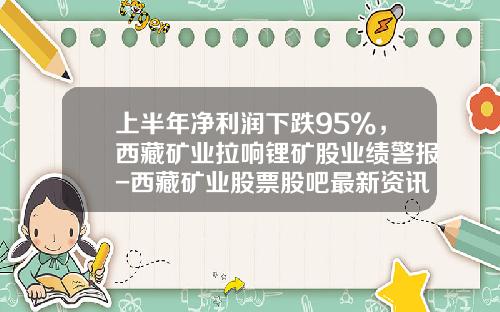 上半年淨利潤下跌95%，西藏鑛業拉響鋰鑛股業勣警報-西藏鑛業股票股吧最新資訊