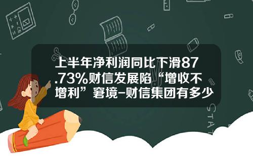 上半年淨利潤同比下滑87.73%財信發展陷“增收不增利”窘境-財信集團有多少錢