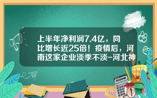 上半年淨利潤7.4億，同比增長近25倍！疫情後，河南這家企業淡季不淡-河北神馬化纖有限公司