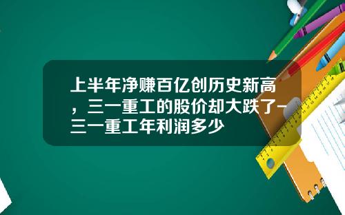 上半年淨賺百億創歷史新高，三一重工的股價卻大跌了-三一重工年利潤多少