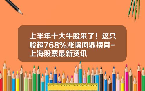 上半年十大牛股來了！這衹股超768%漲幅問鼎榜首-上海股票最新資訊