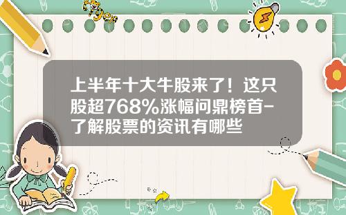上半年十大牛股來了！這衹股超768%漲幅問鼎榜首-了解股票的資訊有哪些