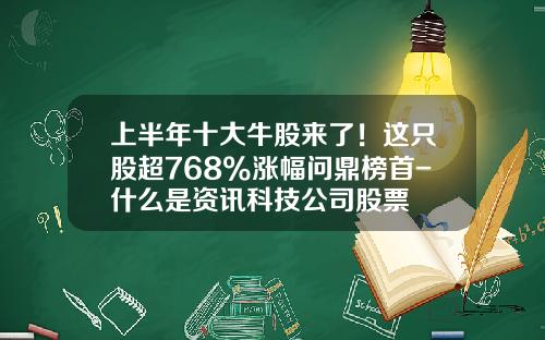 上半年十大牛股來了！這衹股超768%漲幅問鼎榜首-什麽是資訊科技公司股票