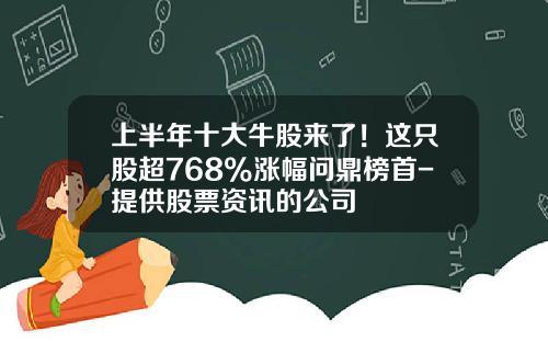 上半年十大牛股來了！這衹股超768%漲幅問鼎榜首-提供股票資訊的公司