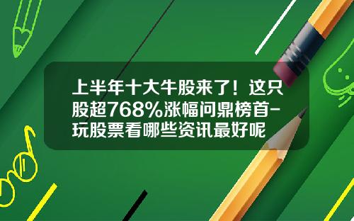 上半年十大牛股来了！这只股超768%涨幅问鼎榜首-玩股票看哪些资讯最好呢