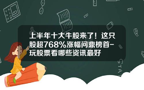 上半年十大牛股來了！這衹股超768%漲幅問鼎榜首-玩股票看哪些資訊最好