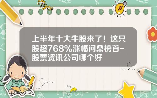 上半年十大牛股來了！這衹股超768%漲幅問鼎榜首-股票資訊公司哪個好