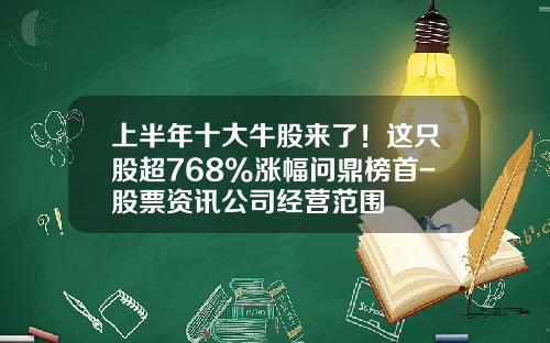 上半年十大牛股來了！這衹股超768%漲幅問鼎榜首-股票資訊公司經營範圍