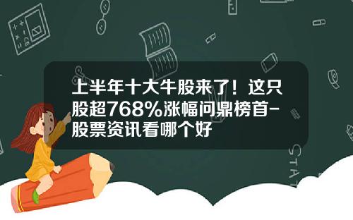 上半年十大牛股來了！這衹股超768%漲幅問鼎榜首-股票資訊看哪個好
