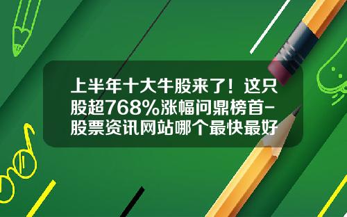 上半年十大牛股來了！這衹股超768%漲幅問鼎榜首-股票資訊網站哪個最快最好