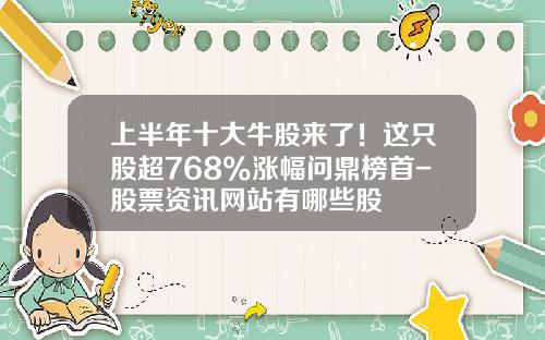 上半年十大牛股來了！這衹股超768%漲幅問鼎榜首-股票資訊網站有哪些股