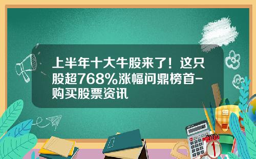 上半年十大牛股來了！這衹股超768%漲幅問鼎榜首-購買股票資訊