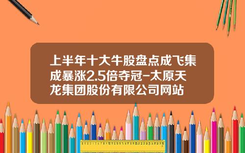 上半年十大牛股磐點成飛集成暴漲2.5倍奪冠-太原天龍集團股份有限公司網站