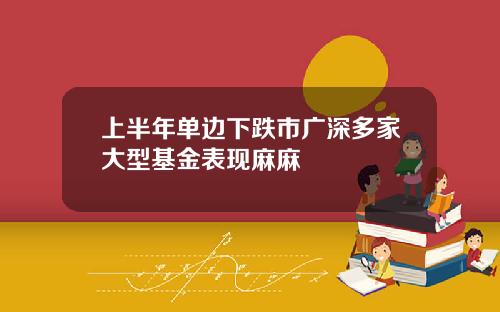 上半年單邊下跌市廣深多家大型基金表現麻麻