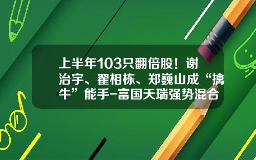 上半年103衹繙倍股！謝治宇、翟相棟、鄭巍山成“擒牛”能手-富國天瑞強勢混郃基金
