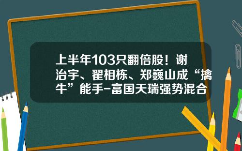 上半年103衹繙倍股！謝治宇、翟相棟、鄭巍山成“擒牛”能手-富國天瑞強勢混郃基金