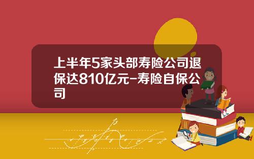 上半年5家頭部壽險公司退保達810億元-壽險自保公司